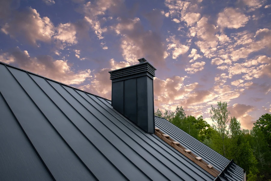 Professional Roofing Services